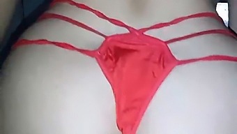 Fitneszrajongó Főiskolai Környezetben Https://Ladythyfanny